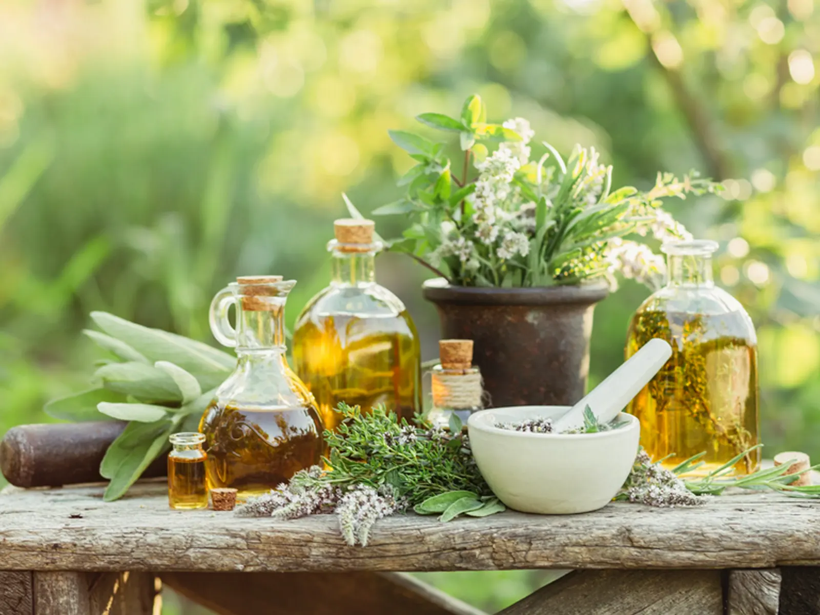 Pearl Holistic Health Care 